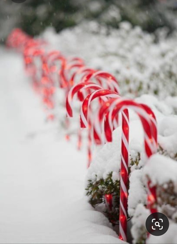 Screenshot_20231101_230125_Pinterest