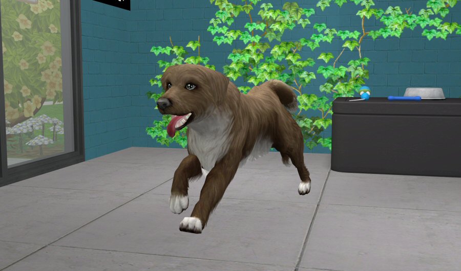 Sims2-EP9-2021-03-25-21-21-22-37