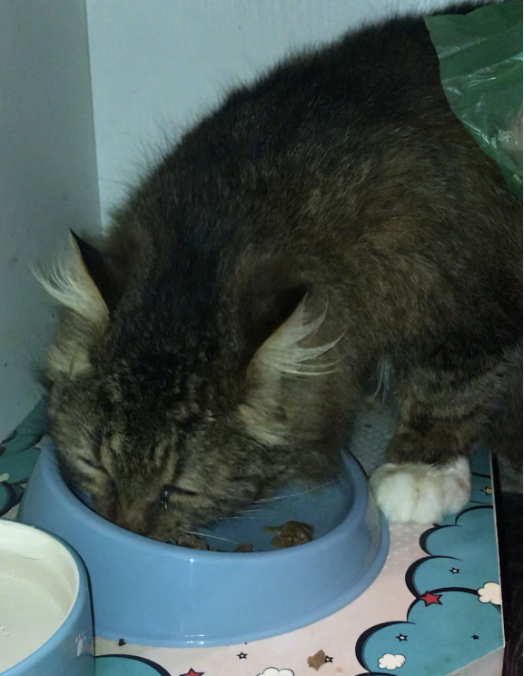 11CCB3D2-97AA-46B6-853D-1C365048A554