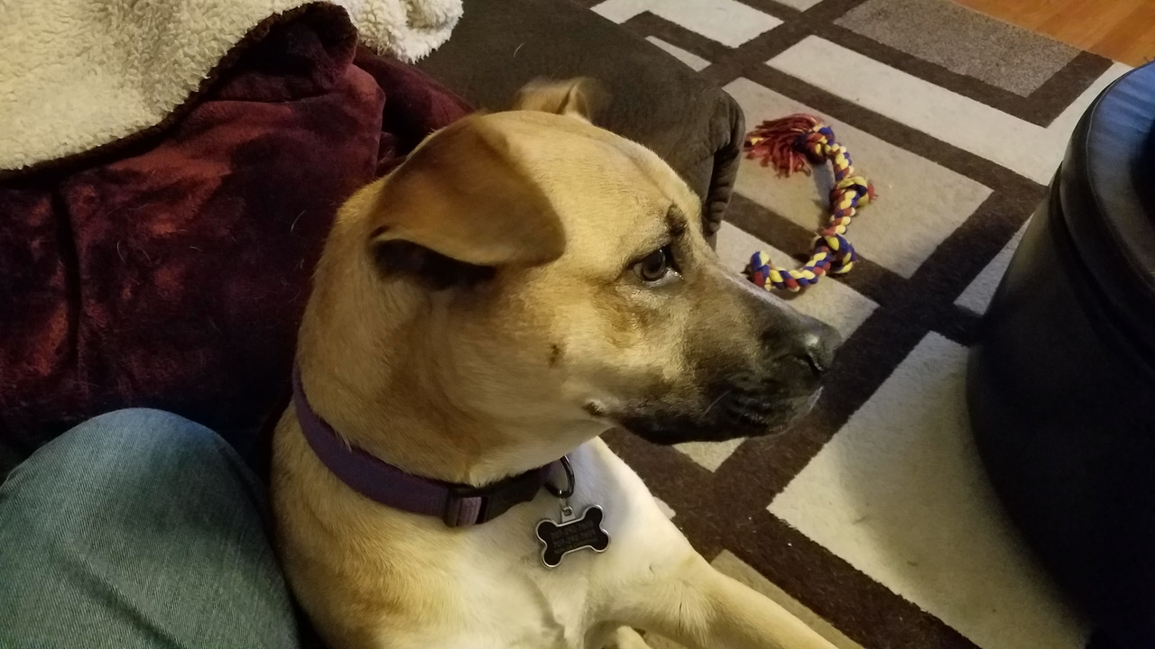 20190119-181324.jpg