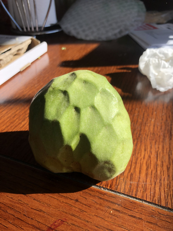 39499102-DB86-4660-B4BF-B8AC8E40F216