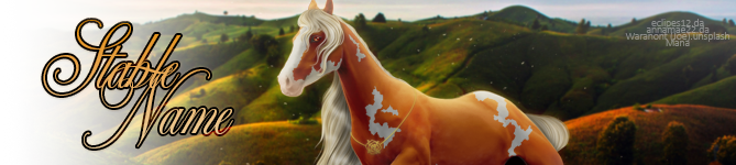 Rose-BANNER