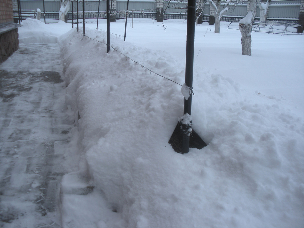 Зимний пейзаж-5, январь 2019