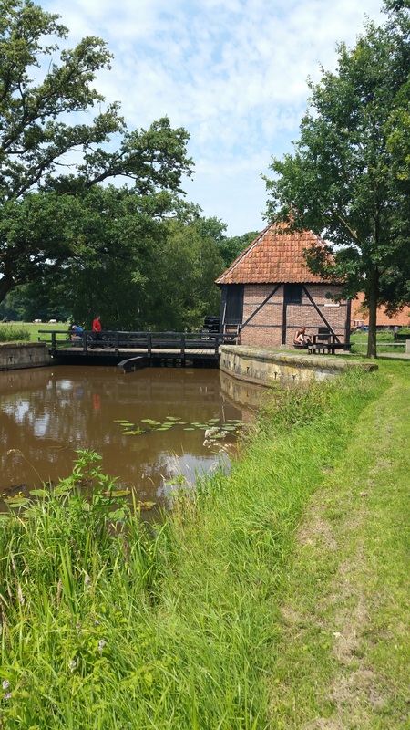 0264 OV (00888) Oldemeule   Oelemeulle - Oele 28