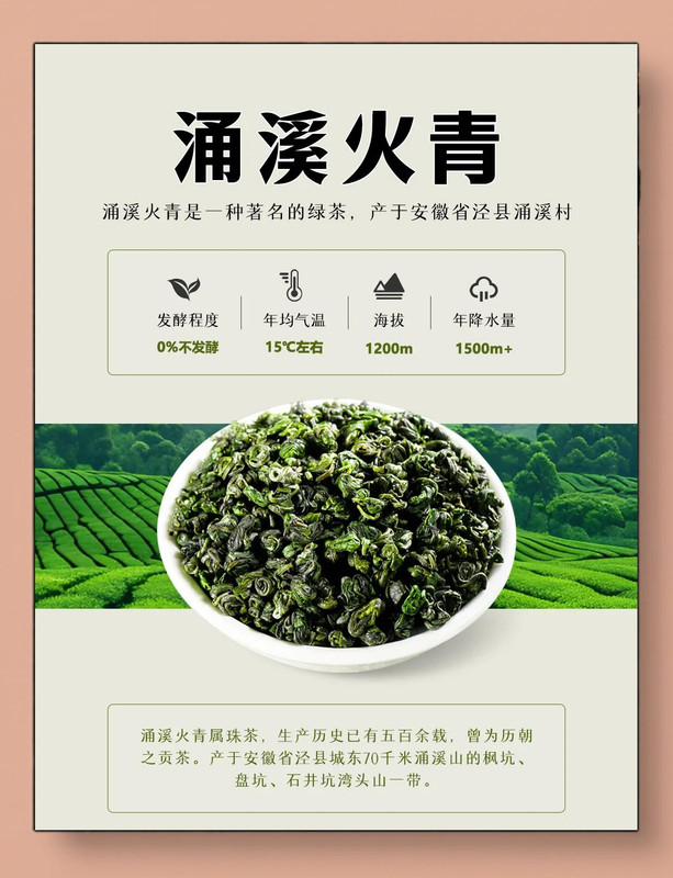 Yongxi Fire Green: A Curled Gem from Anhui’s Ancient Tea Forests Yongxi Fire Green: A Curled Gem from Anhui’s Ancient Tea Forests