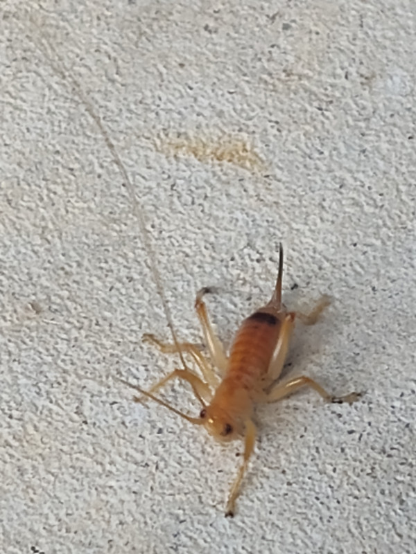 IMG_20251012_163132916