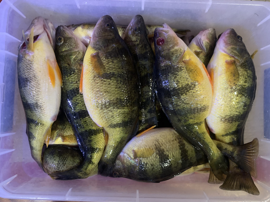 2CCA103A-9E4E-4E7C-8819-5B7097F64DE4