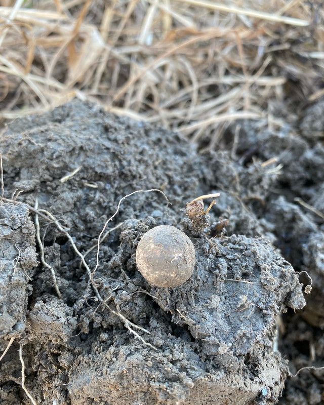 1F18E23F-54D7-4A5B-9FBB-6D4653E92A71