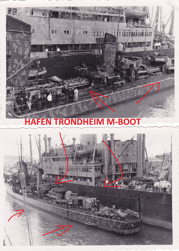 Gebirgs-Jäger-Regiment 138 Trondheim Hafen Schiff HAMMMER CAMO N