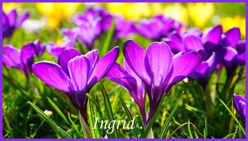 An den Beitrag angehängtes Bild: https://i.postimg.cc/pdNHSdv3/zondag.jpg