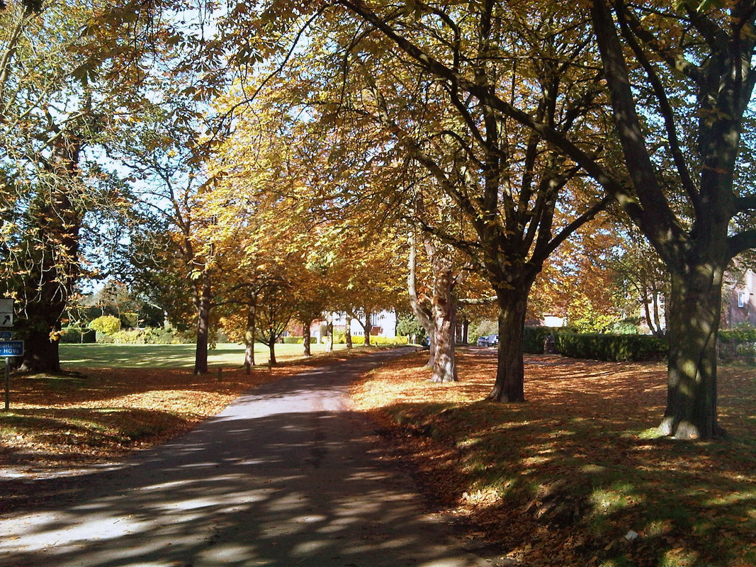 IMG00020-20121012-1251.jpg