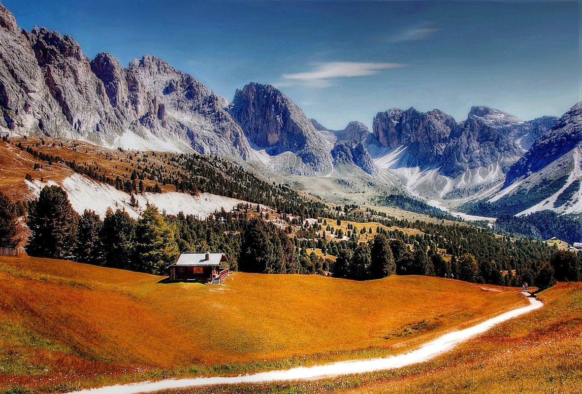 ornagepinetreesnearmountains.jpg
