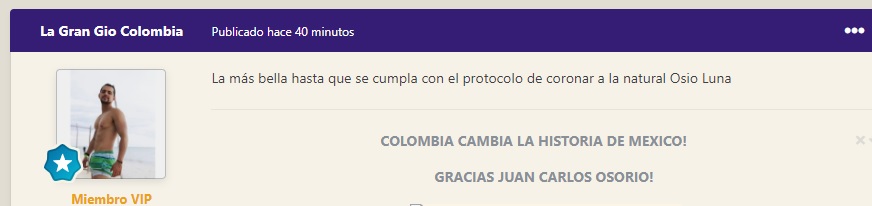 COSTURERA-ILUSA.jpg