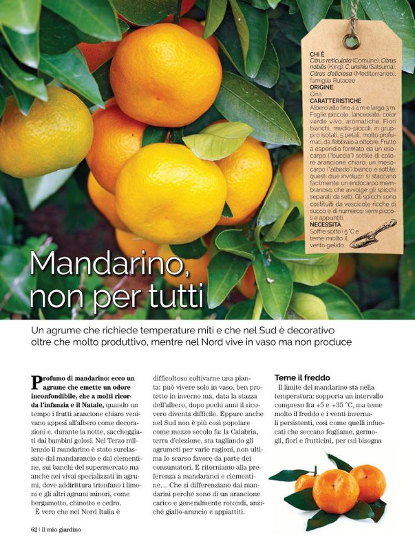 Il Mio Giar Dic 2022-Gen 2023 (11)