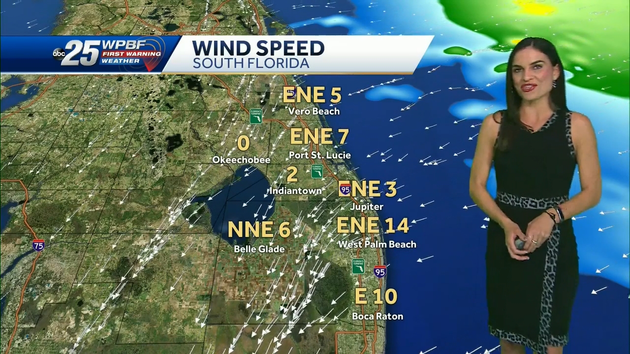 11.22 - 04.00.00 - WPBF 25 News..ts_snapshot_05.27.136