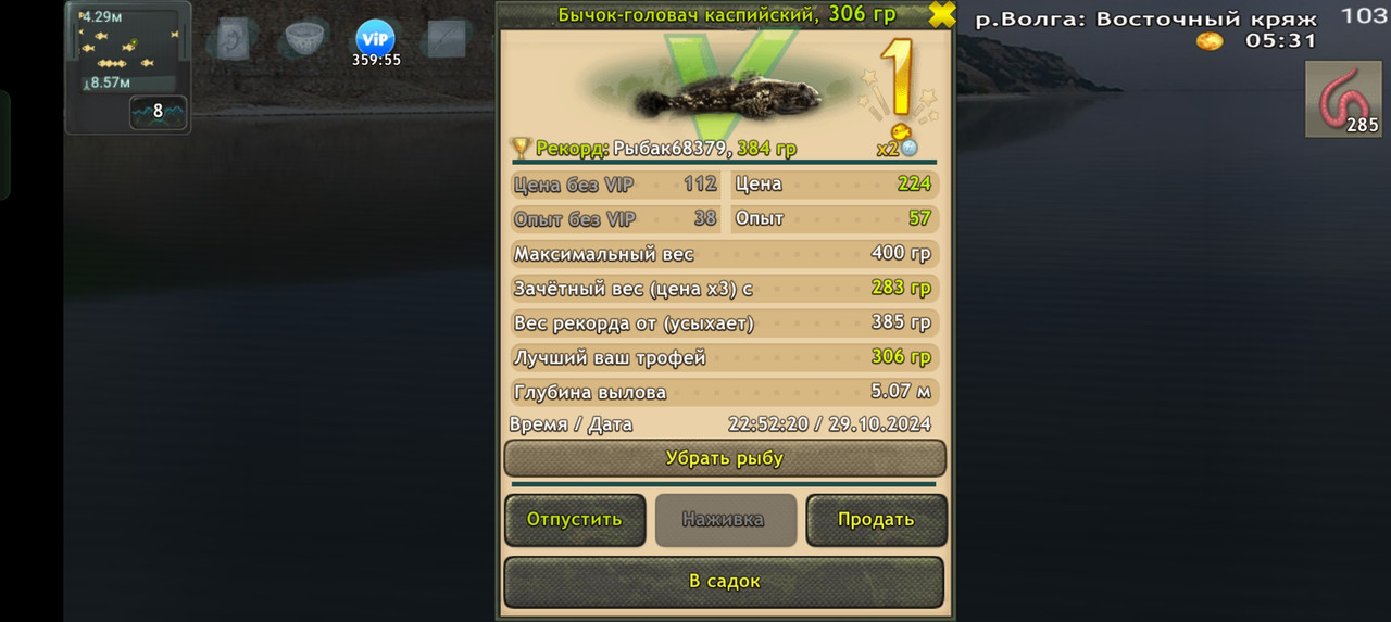 Screenshot-2024-10-29-22-52-36-61-fa28ee