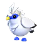 Bali Starling