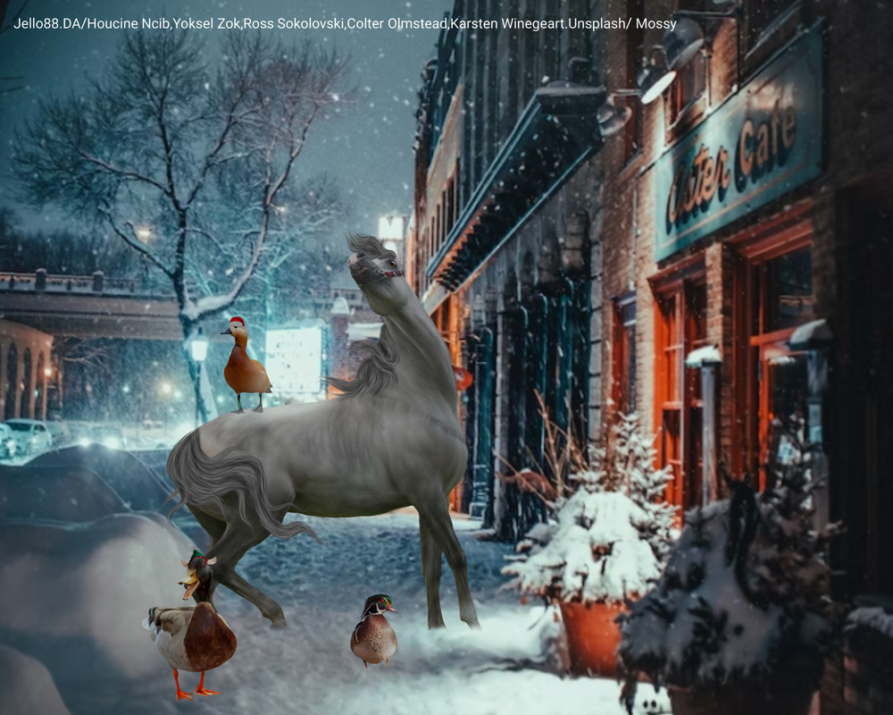 spotted-shorties-duck-winterland-20221111184705.png