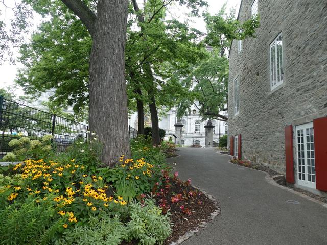 Montréal - DOS SEMANAS EN EL ESTE DE CANADÁ (ONTARIO Y QUÉBEC) (19)