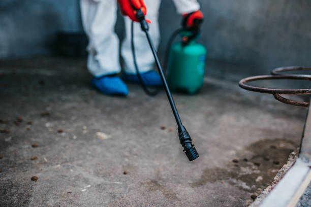 Orlando exterminator