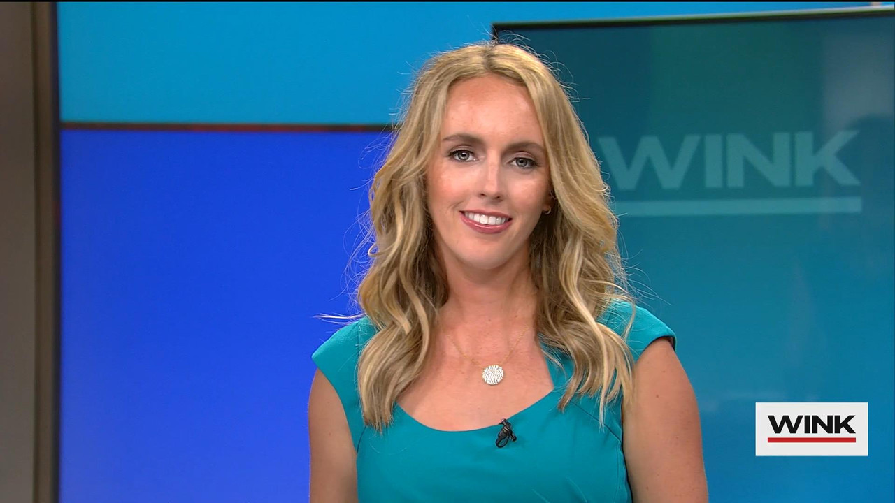 06.06 - 04.00.00 - WINK News @ 11PM Saturday. Local news, sports and ....ts_snapshot_12.40_[2021.06.