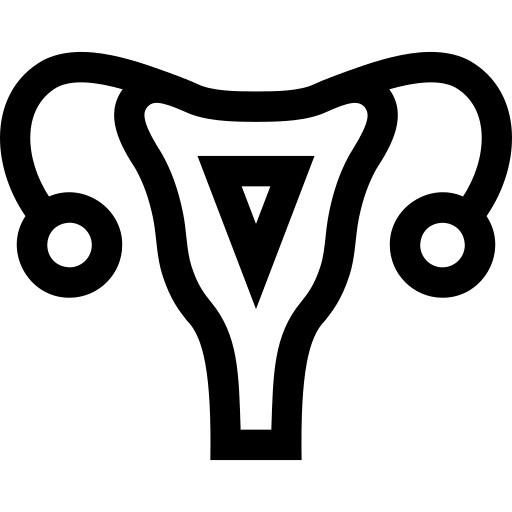 IMG-6507.png