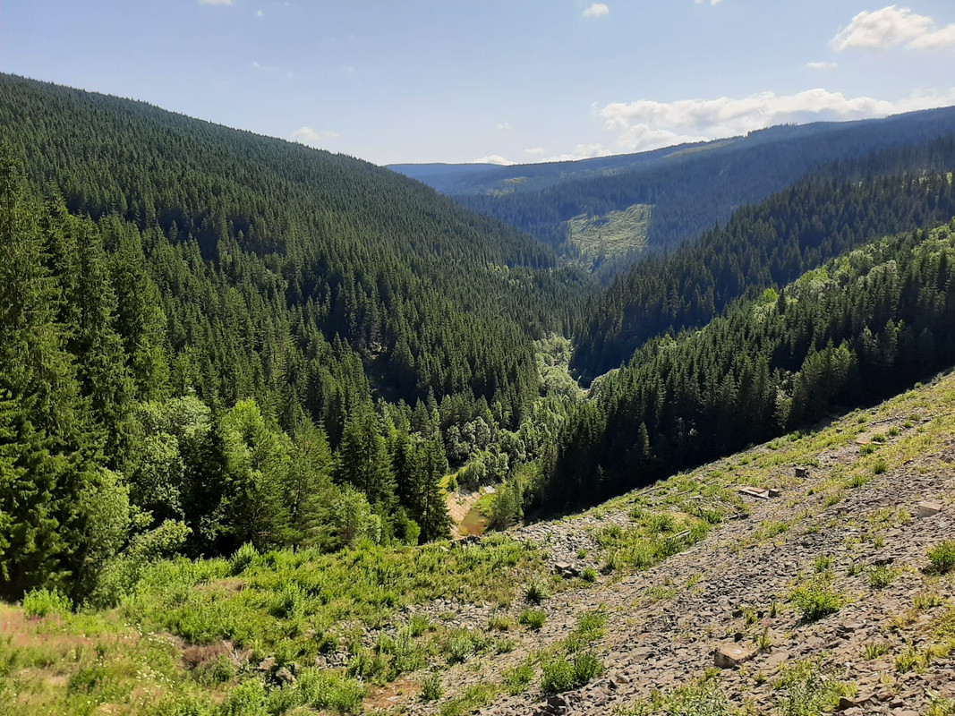 20240801_225328_IMG_9498