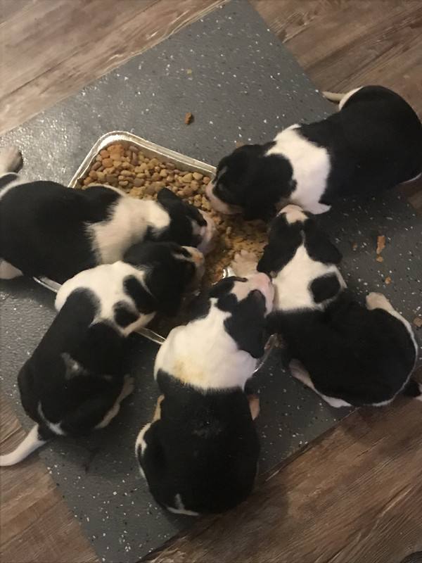 A8981594-06DA-49B0-93CE-B1F6B70CF798