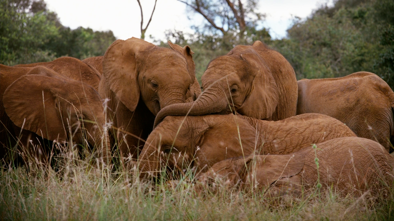 vlcsnap-2023-02-06-15h15m20s666