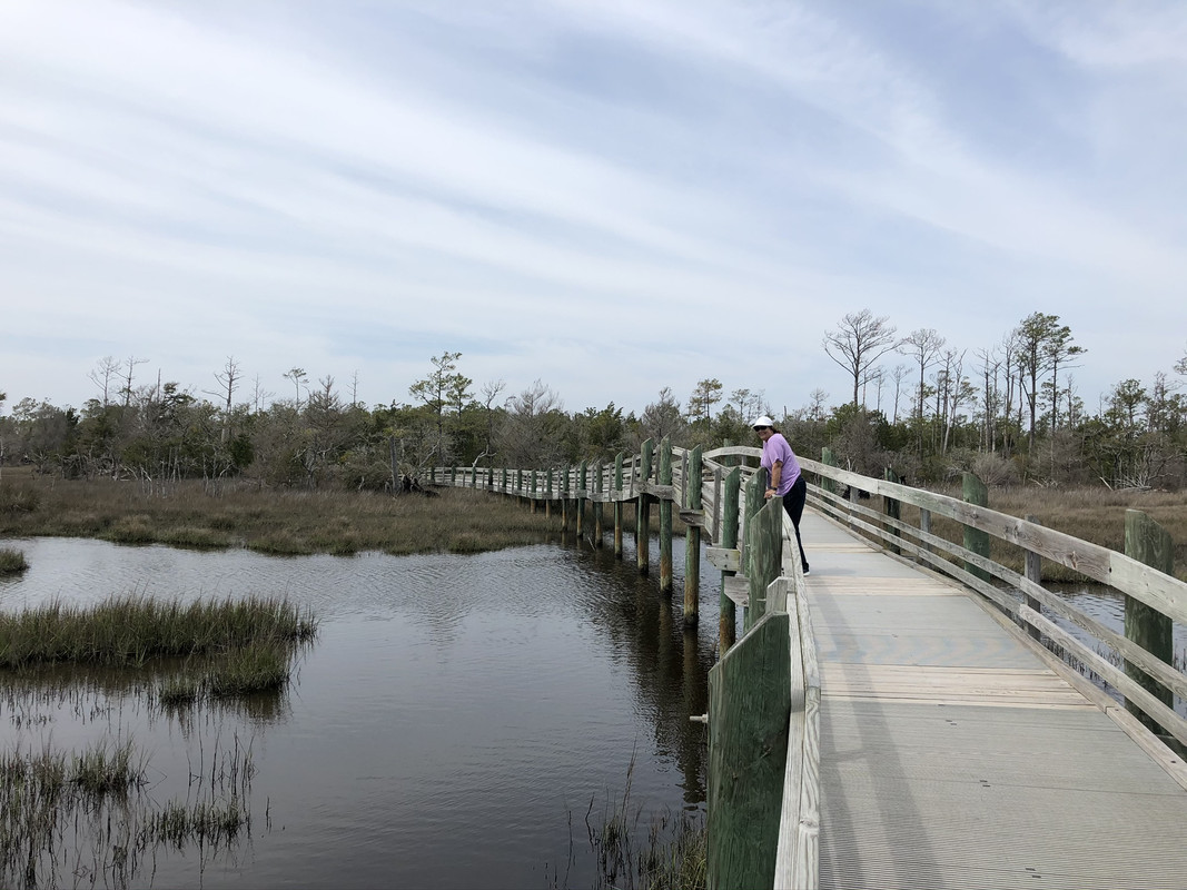 Croatan-Forest-footbridge.jpg