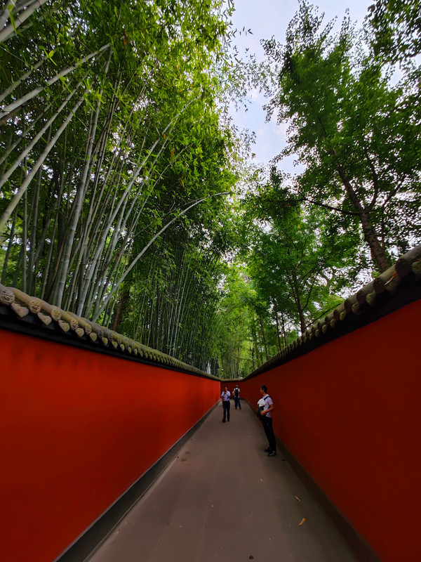 IMG_20230523_153145_副本