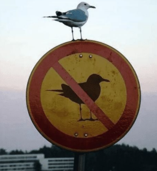 Screenshot-2024-04-17-150628zzz