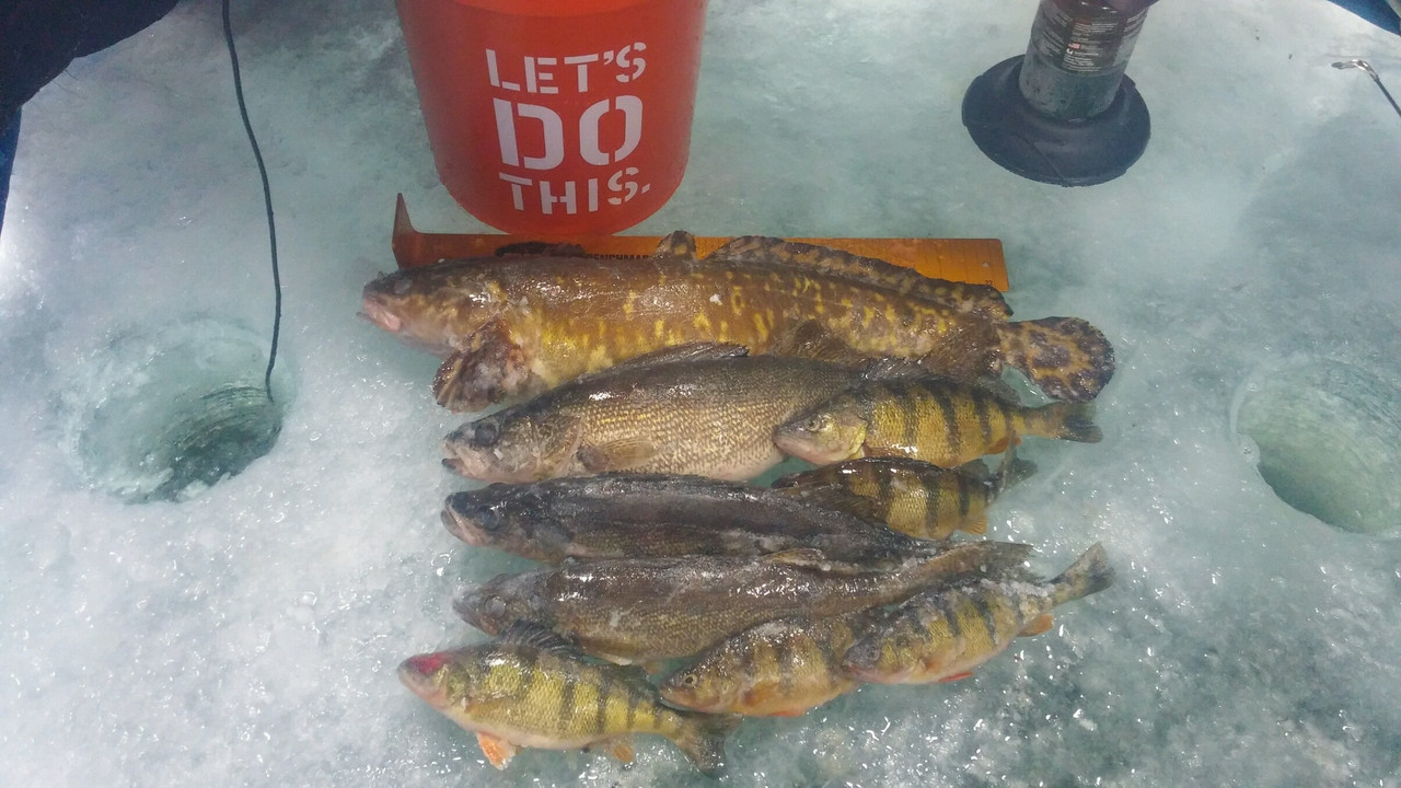 0118181419 - Copy (2)