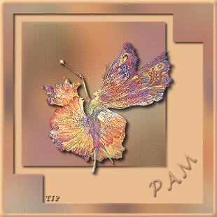 Pam-Fairy-Dancing