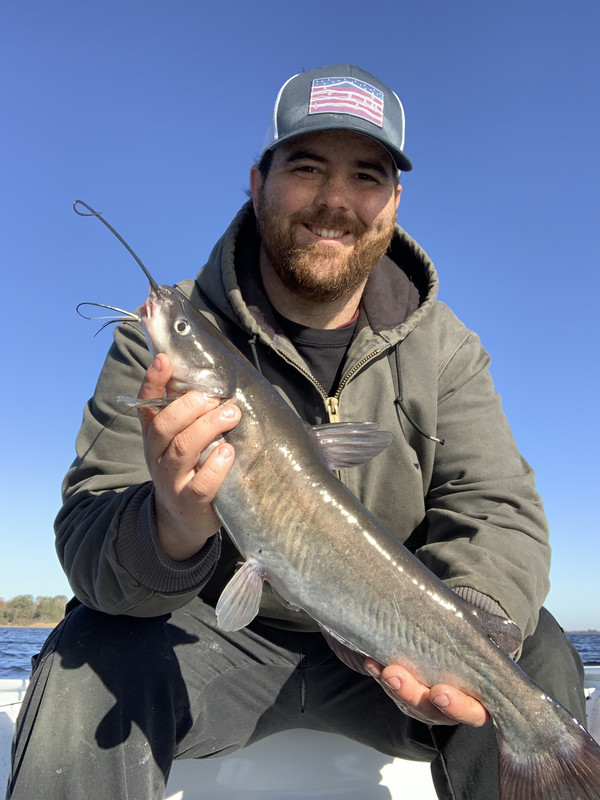 0321478E-BDF0-4089-BA29-6619152DDBC7