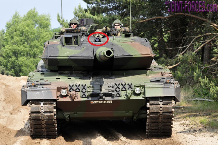 Leopard40-5-02.jpg
