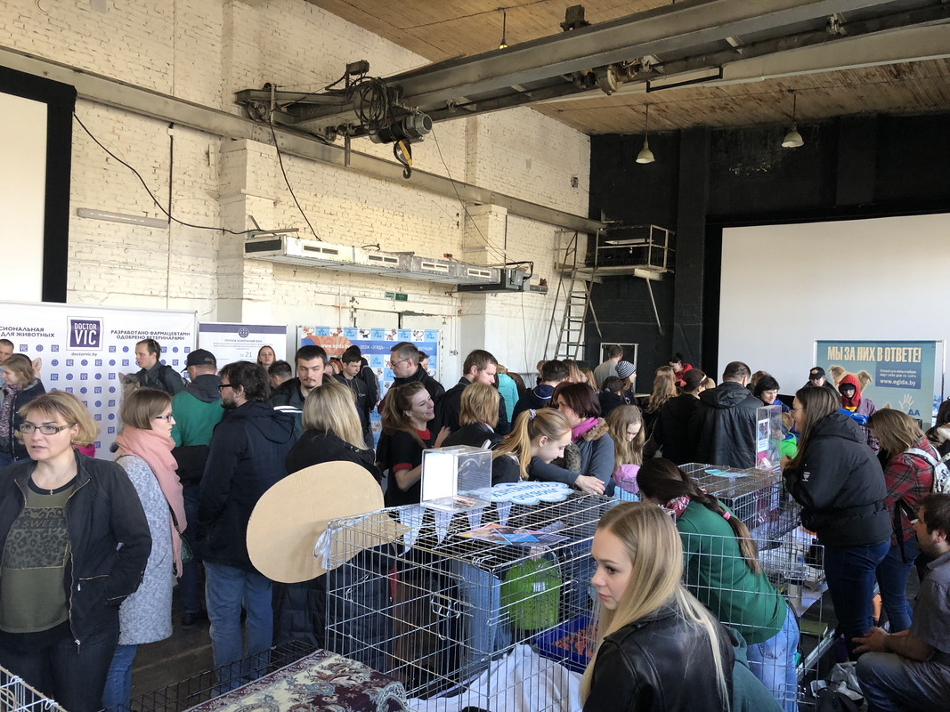 0FB4E403-74C2-488B-AC56-97B93B71992A