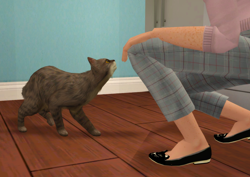 Sims2-EP9-RPC-2022-04-17-20-04-03-05
