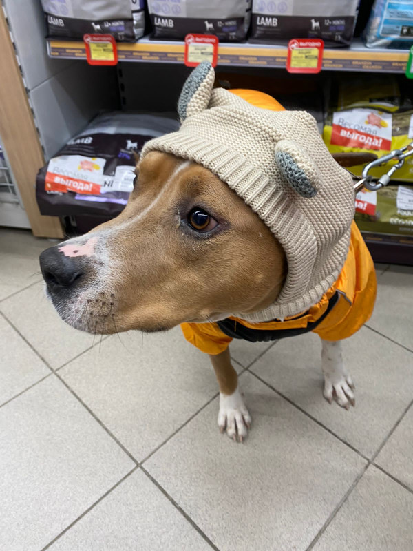 6819A627-2468-4EAF-9CBD-657C47AD12A6