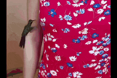 GIFs-19
