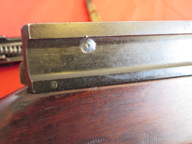 IMG-3584