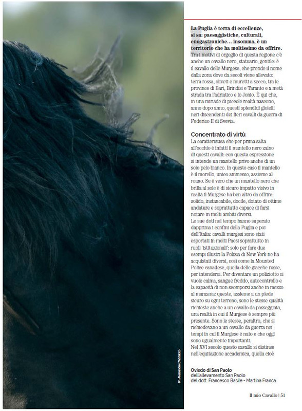 Il Mio Cav (Nov 2022) 4