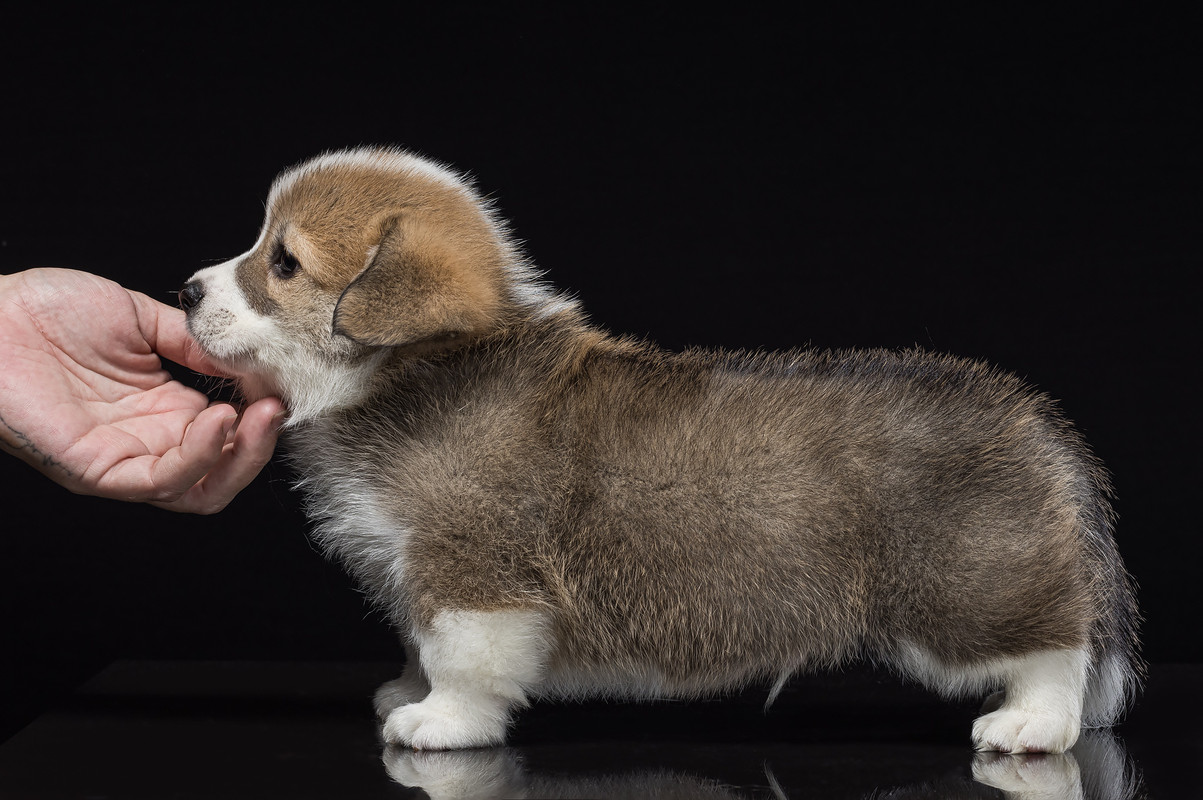 F0909BAF-821B-4CC1-B03B-274FB1B23FEC