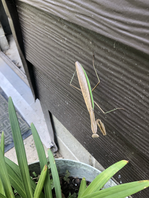 486E5B35-D4C1-4753-AE8B-C1EA0BED4A5D