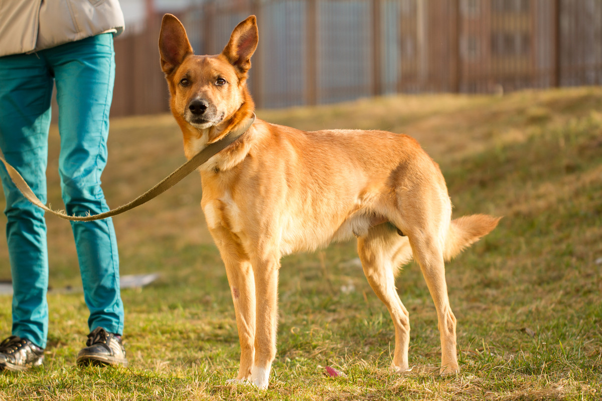 без имени-5378