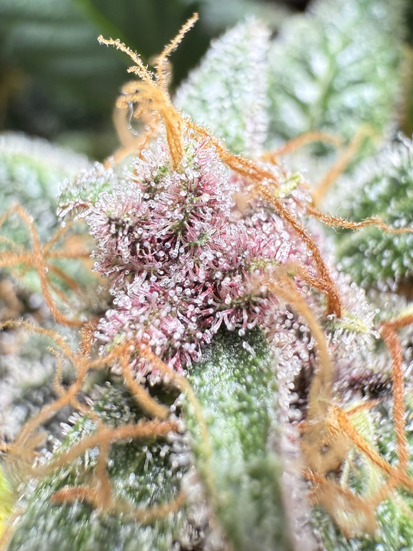 C15E2B9A-072D-4815-9F56-220D88433EB6