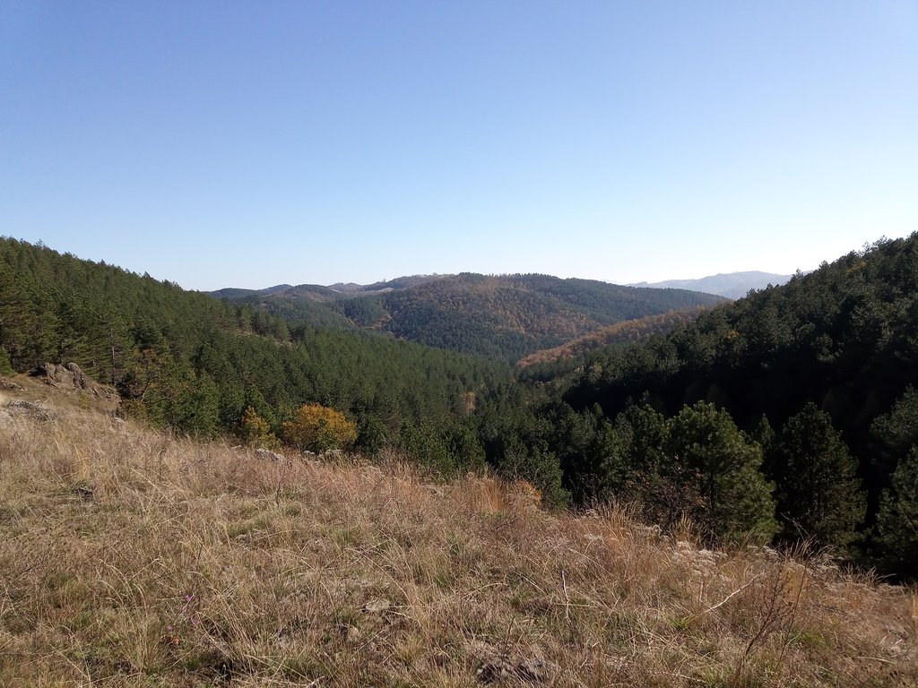 IMG-20231109-113848-2.jpg