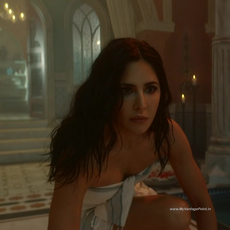 47-Katrina-Kaif-in-Tiger-3-2023-Movie-My-Vantage-Point
