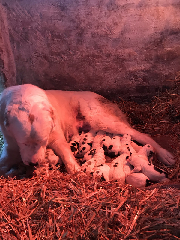 55DB8367-BD70-4824-9823-86774E693AFE