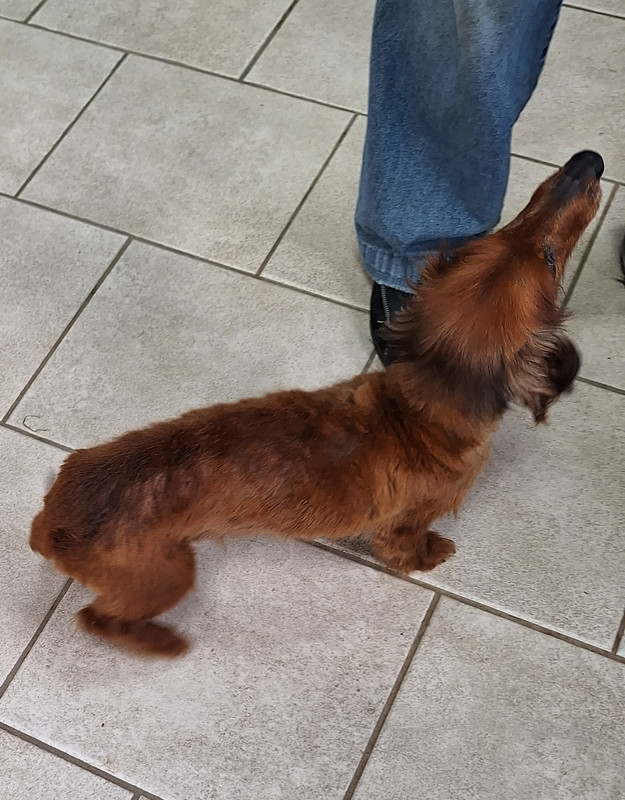 [Image: 20240426-104612.jpg]